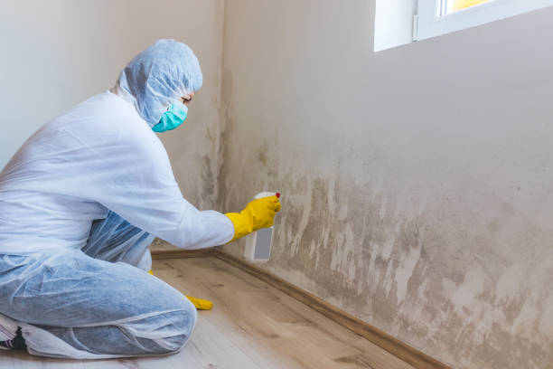 Licensed Mold Remediation service in Brielle, NJ - 24 Hour Mold Removal