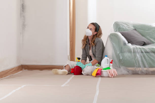Reliable Mold Remediation contractor in Brielle, NJ by 24 Hour Mold Removal